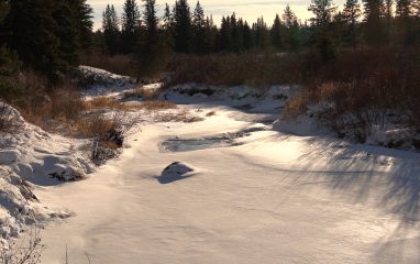Spring Thaw Spring Thaw