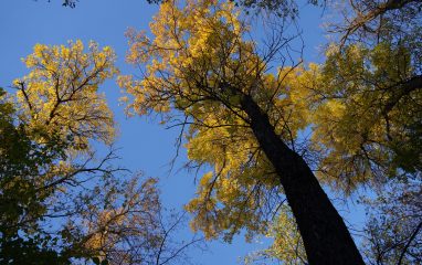 DSC00359 DSC00359