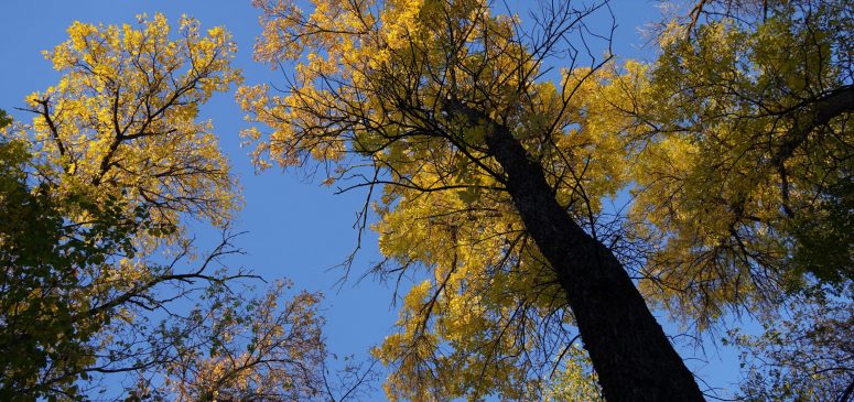 DSC00359 DSC00359